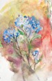 /album/ilustracia-maria-pallova-nemcekova/kvet3-jpg/