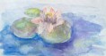 /album/ilustracia-maria-pallova-nemcekova/zaruzlie-jpg/